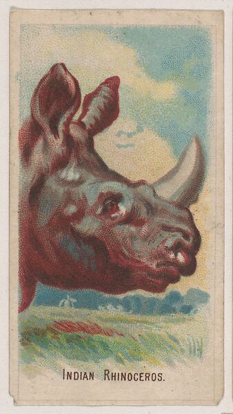 Indian Rhinoceros, collector card from the Animal Pictures series (D8), issued by the Weber Baking Company to promote Onist Milk and Pullman Bread, Issued by Weber Baking Company, Commercial color lithograph 