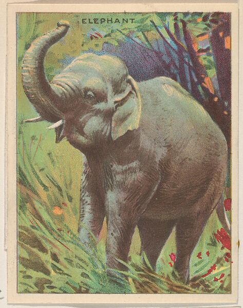 Elephant, collector card from the Animals series (D9), issued by the Weber Baking Company to promote Onist Milk and Pullman Bread, Issued by Weber Baking Company, Commercial color lithograph 