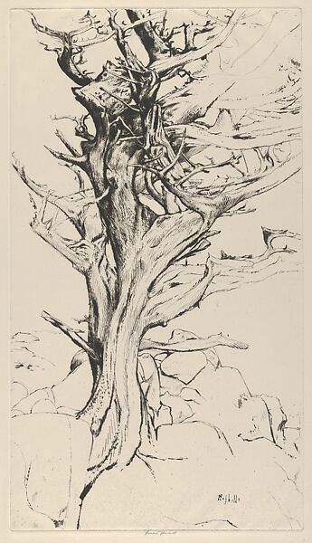 Torse of the Witch, Ernest Haskell (American, Woodstock, Connecticut 1876–1925 West Point, Maine), Drypoint 