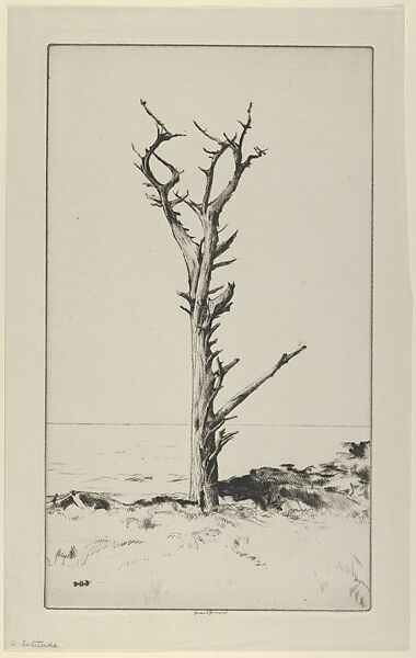 Solitude, Ernest Haskell (American, Woodstock, Connecticut 1876–1925 West Point, Maine), Drypoint 