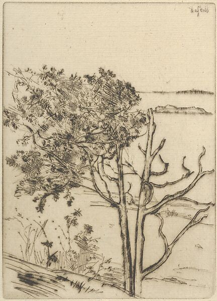 Ragged Tree – Maine, Ernest Haskell (American, Woodstock, Connecticut 1876–1925 West Point, Maine), Drypoint 