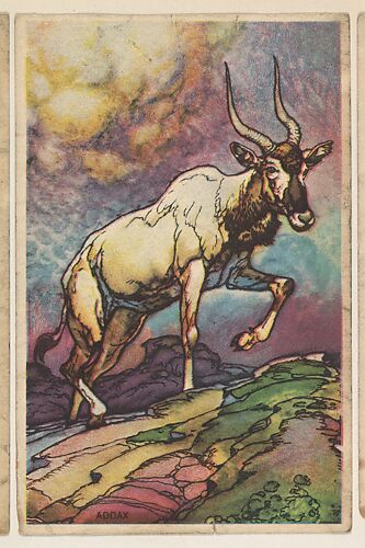 Addax, collector card from the Animal's Pictures series (D12), issued by Roulstons Bread