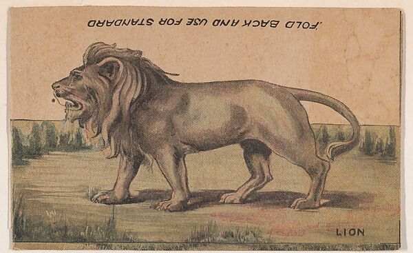 Lion, collector card from the Animal Cutouts series (D11), issued by the R. H. Wool Steam Bakery to promote their product, Wool's Ithaca Crackers