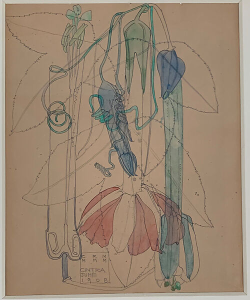 Tacsonia, Charles Rennie Mackintosh (British, Glasgow, Scotland 1868–1928 London), Graphite and watercolor on tan paper 