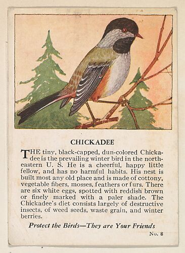 Chickadee, No. 8, collector card from the Bird Cards series (D16), issued by the Krug Baking Company