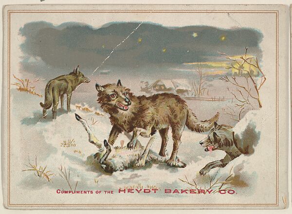 Wolves, collector card from the Birds and Greeting Cards series (D17), issued by the Heydt Baking Company, Issued by Heydt Bakery Company, Commercial color lithograph 
