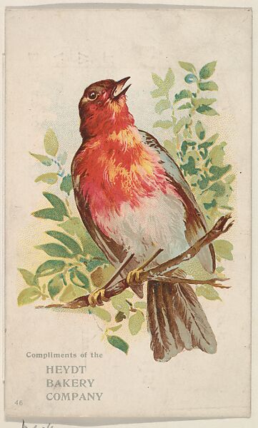 Bird No. 46, collector card from the Birds and Greeting Cards series (D17), issued by the Heydt Baking Company, Issued by Heydt Bakery Company, Commercial color lithograph 