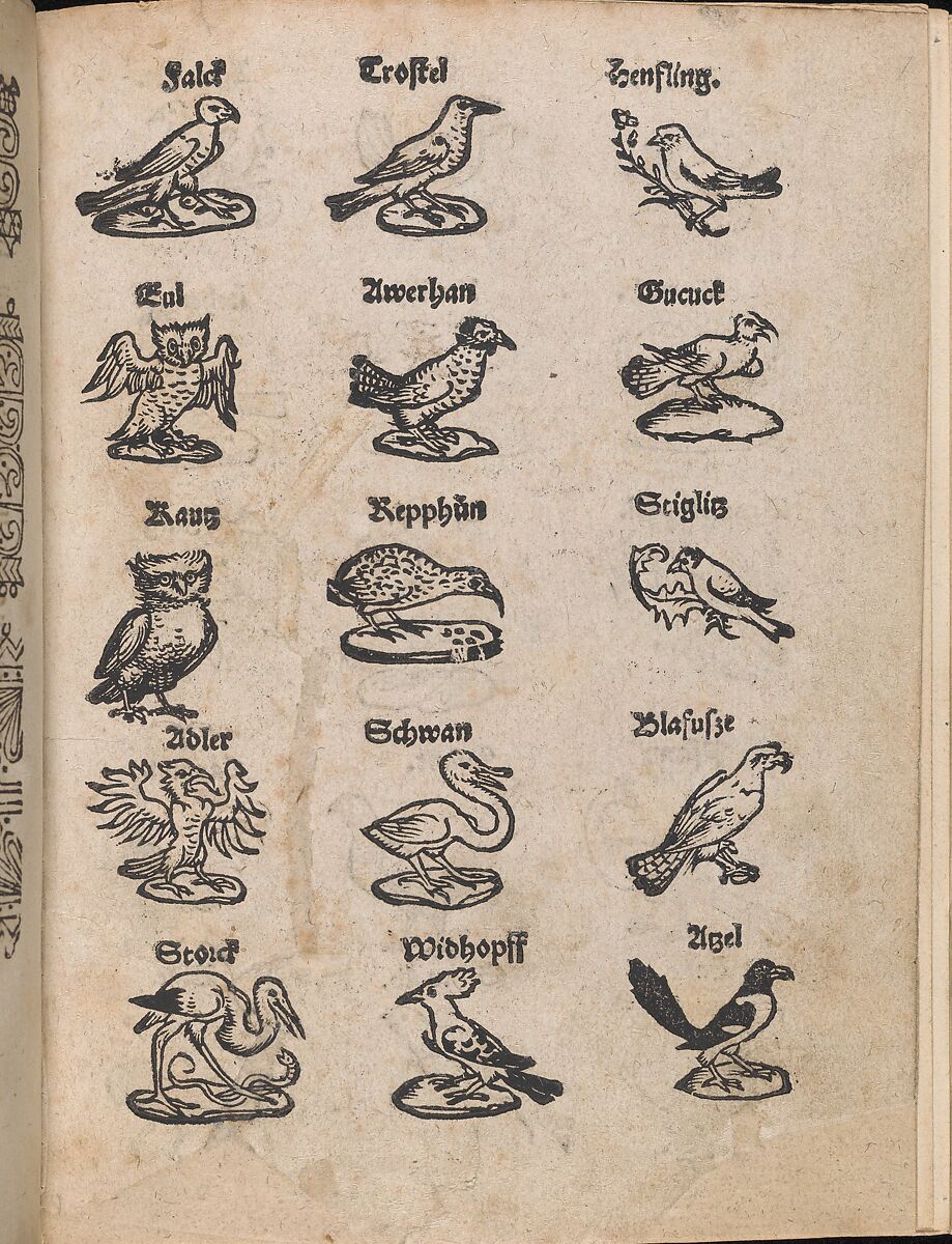 Modelbuch aller Art Nehens vn Stickens (Page 13r), Christian Egenolff (German, Hadamar 1502–1555 Frankfurt), Woodcut 