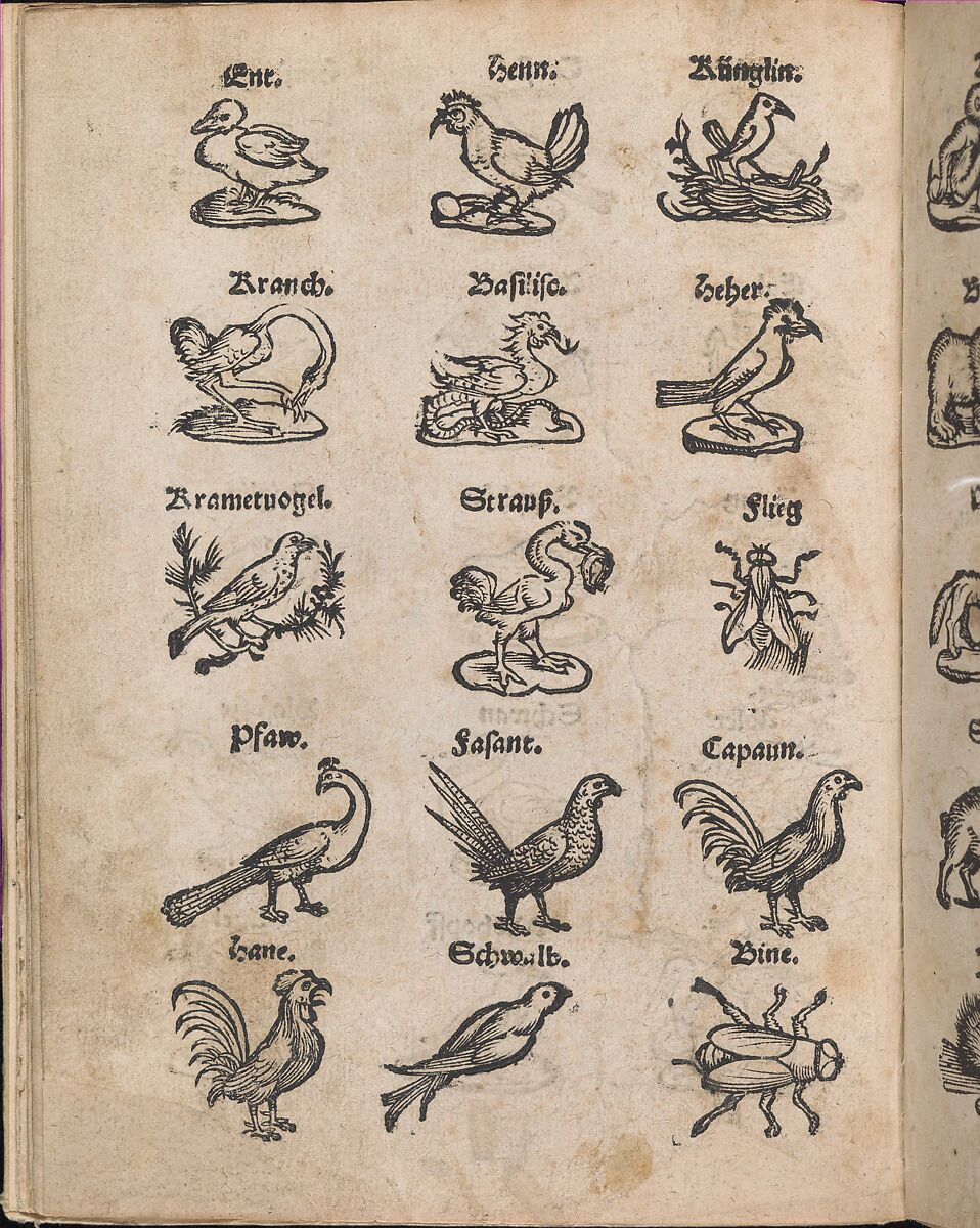 Modelbuch aller Art Nehens vn Stickens (Page 13v), Christian Egenolff (German, Hadamar 1502–1555 Frankfurt), Woodcut 
