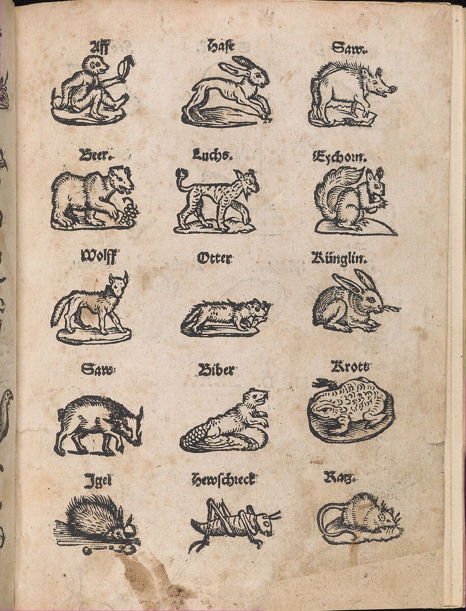 Modelbuch aller Art Nehens vn Stickens (Page 14r), Christian Egenolff (German, Hadamar 1502–1555 Frankfurt), Woodcut 
