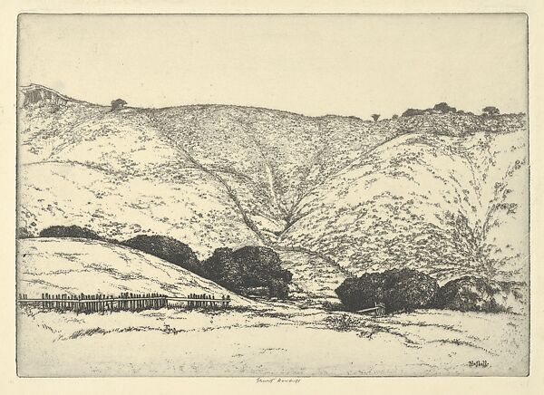 Redwood Fence, Ernest Haskell (American, Woodstock, Connecticut 1876–1925 West Point, Maine), Etching 