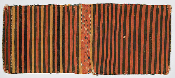 Double Saddlebag (Khorjin), Wool (warp and sumak weft), cotton (ground weft), and goat(?) hair (sumak weft); sumak extra-weft wrapping and slit tapestry (kilim) closure (front); weft-faced plain weave with pattern in supplementary brocaded weft (back)