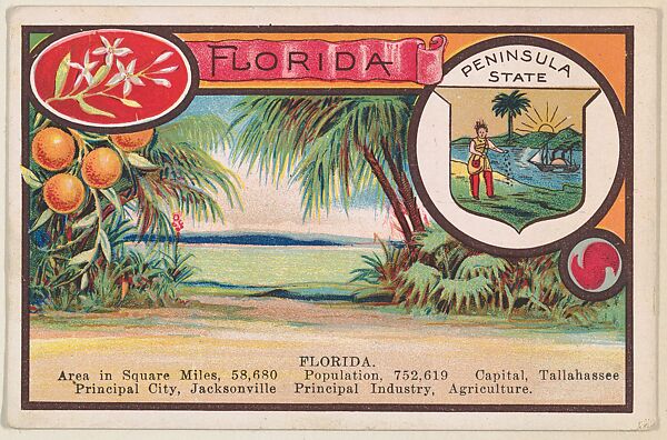 Florida postcard from the Cards of States series (D22), issued by the Cushman Bread Company, Issued by Cushman Bread Company, Commercial color lithograph 