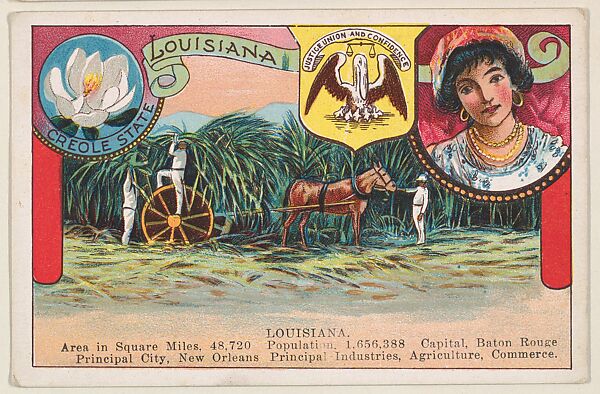 Louisiana, postcard from the Cards of States series (D22), issued by the Cushman Bread Company, Issued by Cushman Bread Company, Commercial color lithograph 