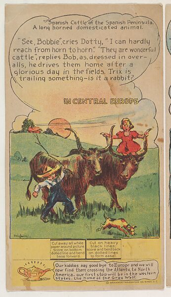 Spanish Cattle of the Spanish Peninsula, Central Europe, collector card from the Dotty, Bob and Trix Cards series (D27), issued by the Pryor Baking Company, Issued by Pryor Baking Company, Commercial color lithograph 