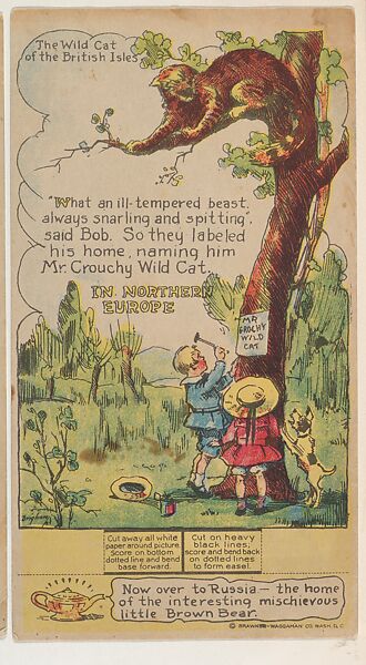 The Wild Cat of the British Isles, Northern Europe, collector card from the Dotty, Bob and Trix Cards series (D27), issued by the Pryor Baking Company, Issued by Pryor Baking Company, Commercial color lithograph 