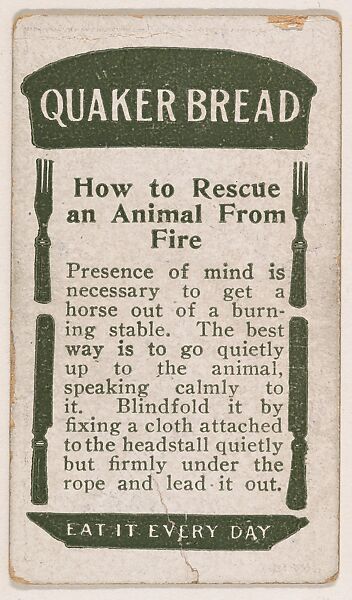 How to Rescue an Animal From Fire, No. 16, card verso, bakery insert card from the How To Do It series (D45), issued by the Welle-Boettler Bakery Company, Issued by Welle-Boettler Bakery Company, Commercial color lithograph 