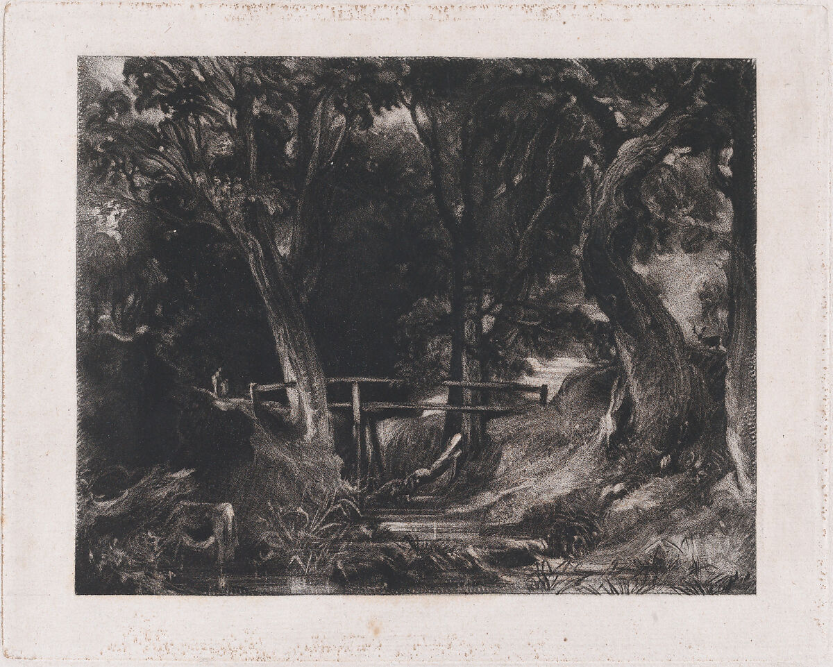 A Dell, Helmingham Park, Suffolk, David Lucas (British, Geddington Chase, Northamptonshire 1802–1881 London), Mezzotint; fifth proof of potentially eight, before published state 