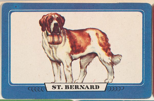 St. Bernard, bakery insert card from the Dogs series (D26), issued by the Omar Baking Company, Issued by Omar Baking Company, Commercial color lithograph