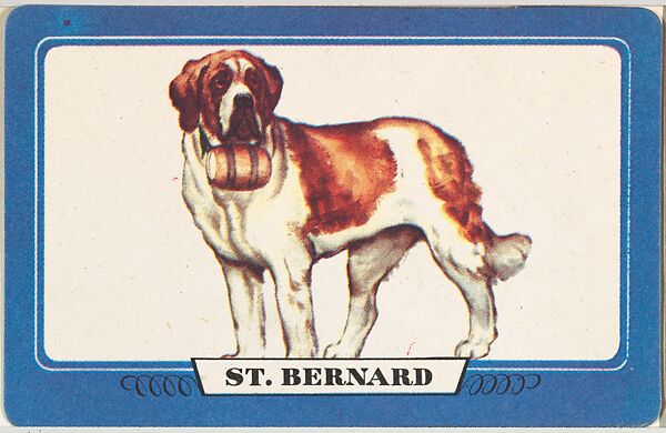 St. Bernard, bakery insert card from the Dogs series (D26), issued by the Omar Baking Company
