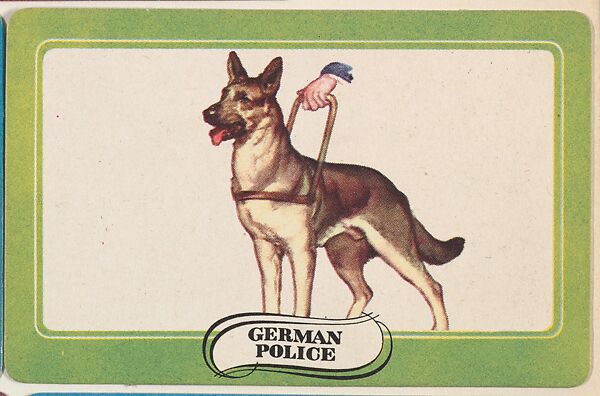 German Police, bakery insert card from the Dogs series (D26), issued by the Omar Baking Company
