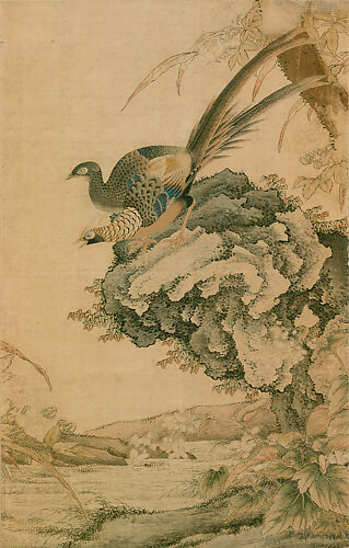 Two Pheasants on a Rock