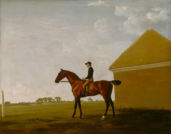 Turf, with Jockey up, at Newmarket, George Stubbs (British, Liverpool 1724–1806 London), Oil on canvas 