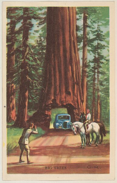 Big Trees, bakery card from the Nature's Splendor series (D39-7), issued by Bell Bakeries, Inc., Issued by Bell Bakeries, Inc., Commercial color lithograph 