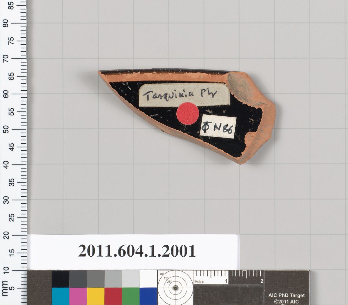 Terracotta rim fragment of a kylix (drinking cup), Attributed to the Tarquinia Painter [DvB], Terracotta, Greek, Attic