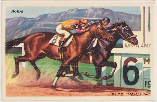Horse, bakery card from the Speed Pictures series (D39-8), issued by Bell Bakeries, Inc., Issued by Bell Bakeries, Inc., Commercial color lithograph 