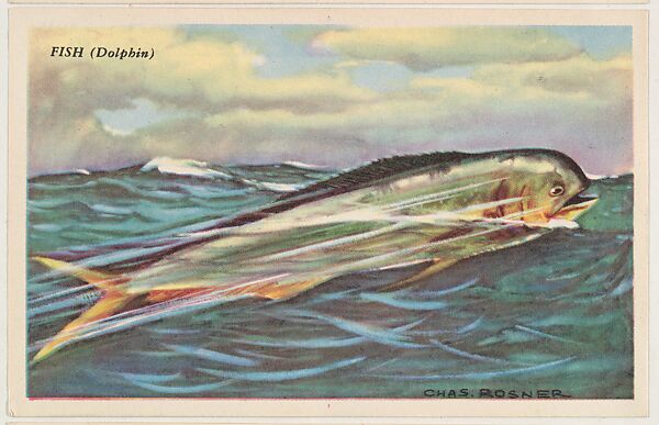 Fish (Dolphin), bakery card from the Speed Pictures series (D39-8), issued by Bell Bakeries, Inc., Issued by Bell Bakeries, Inc., Commercial color lithograph 