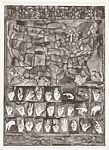 Untitled, Jasper Johns (American, born Augusta, Georgia, 1930), Offset lithograph 