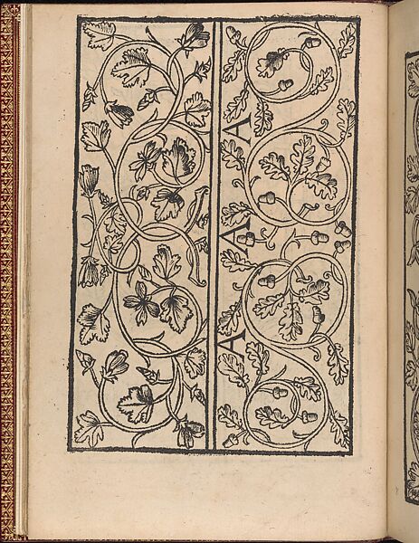 Modelbuch new, aller Art, Nehens und Stickens (page 7v), Hermann Gülfferich (1542–1554)  , Frankfurt am Main, Woodcut 