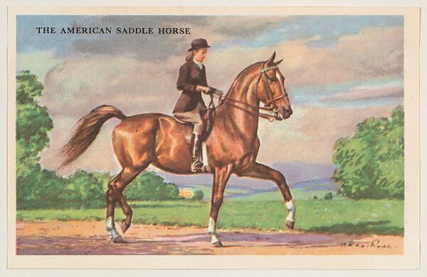 The American Saddle Horse, bakery card from the Horses series (D39-5), issued by the Gordon Bread Company, Issued by Gordon Bread Company, Commercial color lithograph 