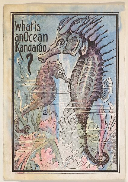 What is an Ocean Kangaroo?, bakery card from the Magic Card of Knowledge series (D50), issued by Spaulding Bakeries Inc., Issued by Spaulding Bakeries Inc., Commercial color lithograph 