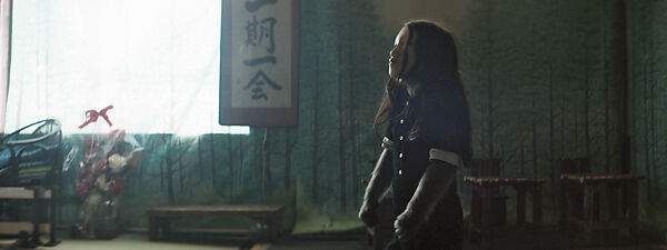 Untitled (Human Mask), Pierre Huyghe (French, born Paris, 1962), Single-channel video, color, sound, 19 min.