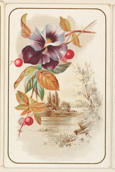 Purple pansy with berries, bakery card from the Picture Cards series (D63), issued by the Vienna Model Bakery, Issued by Vienna Model Bakery, Commercial color lithograph 