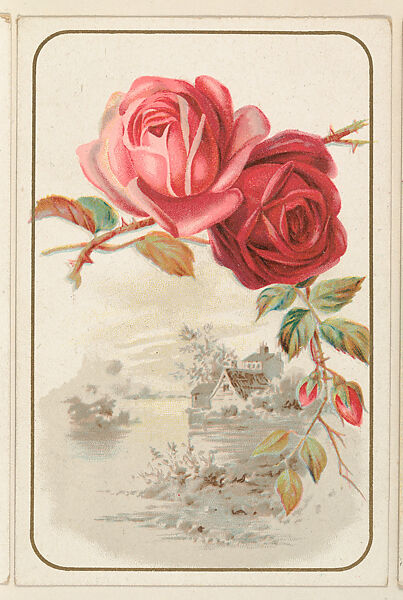 Roses, bakery card from the Picture Cards series (D63), issued by the Vienna Model Bakery, Issued by Vienna Model Bakery, Commercial color lithograph 