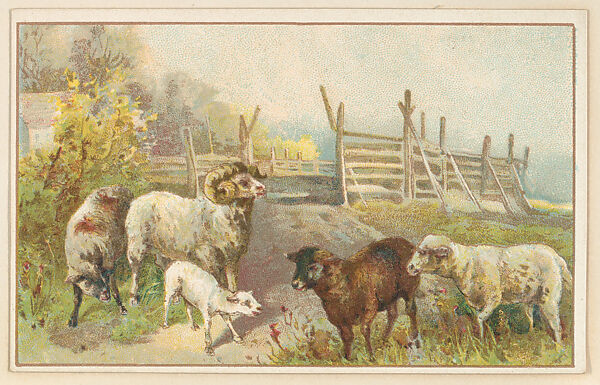 Sheep, bakery card from the Picture Cards series (D63), issued by the Vienna Model Bakery, Issued by Vienna Model Bakery, Commercial color lithograph 