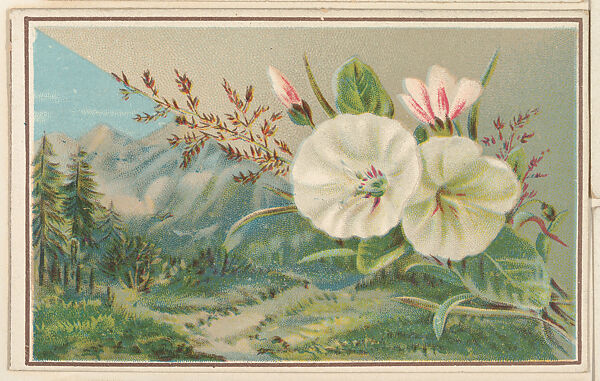 Landscape with morning glories, bakery card from the Picture Cards series (D63), issued by the Vienna Model Bakery, Issued by Vienna Model Bakery, Commercial color lithograph 