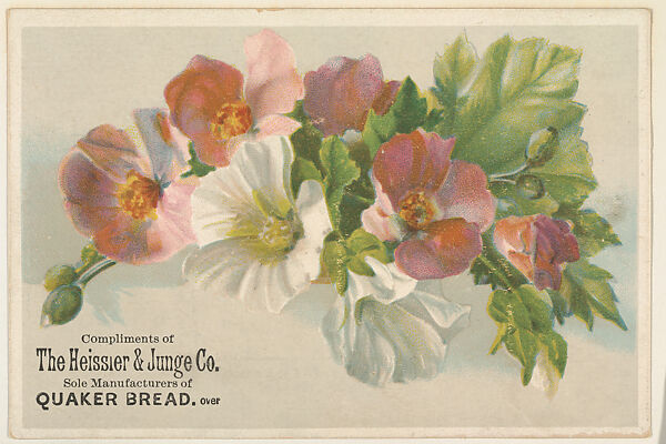 Pink and white flowers, bakery card from the Picture Cards series (D63), issued by The Heissler & Junge Company
