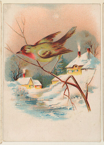 Bird perched on a branch, bakery card from the Picture Cards series (D63), issued by the Manhattan Biscuit Company