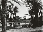 Oasis with doum palms and distant figures in the water, Glass, emulsion