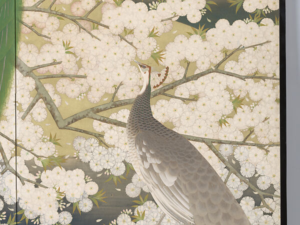 Peacocks and Cherry Blossoms, Imazu Tatsuyuki (Japanese, active early 20th century), Two-panel folding screen; ink, color, gold, and silver on paper, Japan