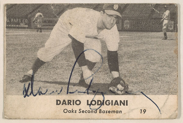 Dario Lodigiani, Oaks Second Baseman, from the Oakland Baseball Players (Oaks) series (D317), issued by Sunbeam Bread and Remar Bread