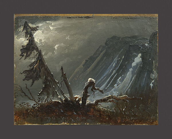 Old Trees, Peder Balke (Norwegian, Helgøya, Nes 1804–1887 Oslo (Kristiania)), Oil on paper, mounted on cardboard 