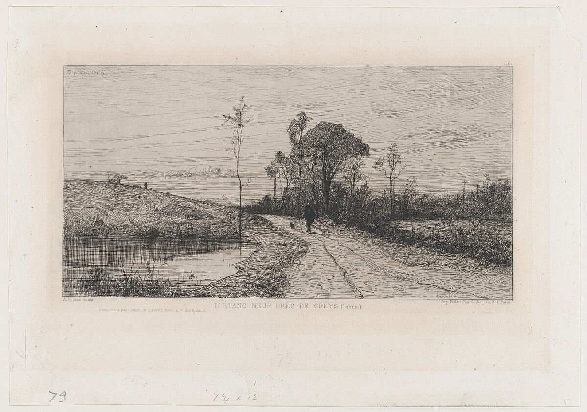 The New Pond Near Creys (Isère), Adolphe Appian (French, Lyon 1818–1898 Lyon), Etching; third state of four 