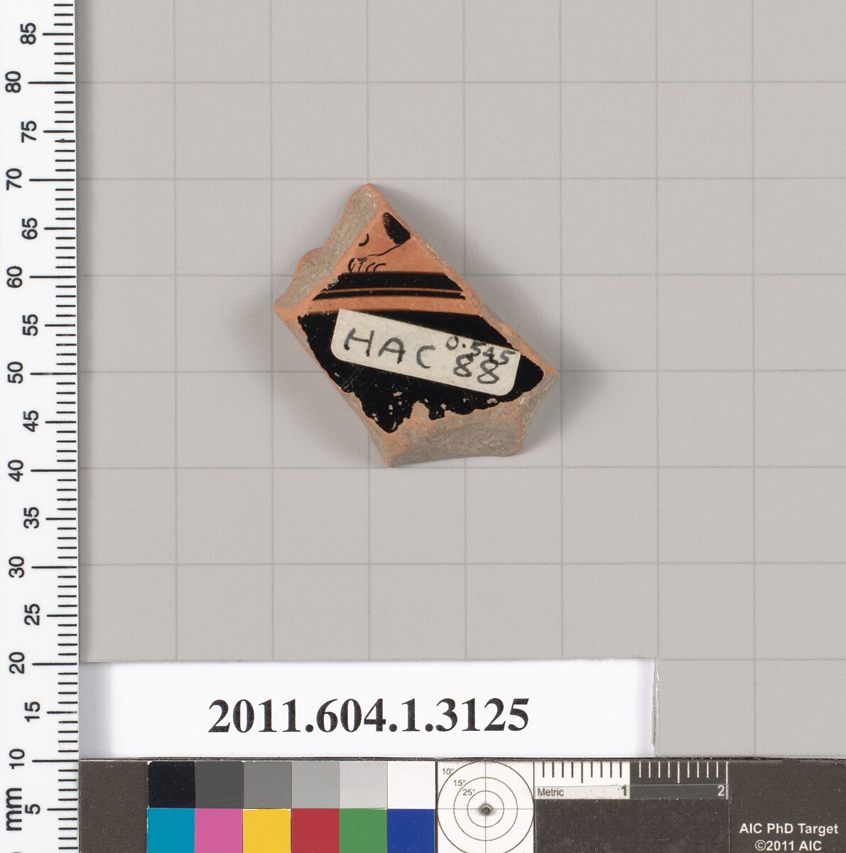 Terracotta fragment of a kylix (drinking cup), Terracotta, Greek, Attic