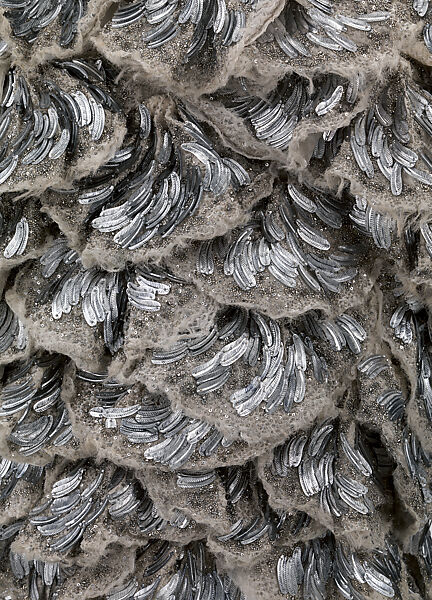 Ensemble, Alexander McQueen (British, founded 1992), (a) silk, metal, glass; (b) silk, metal; (c) synthetic fiber, metal, glass; (d, e) metal, leather, silk, glass, British