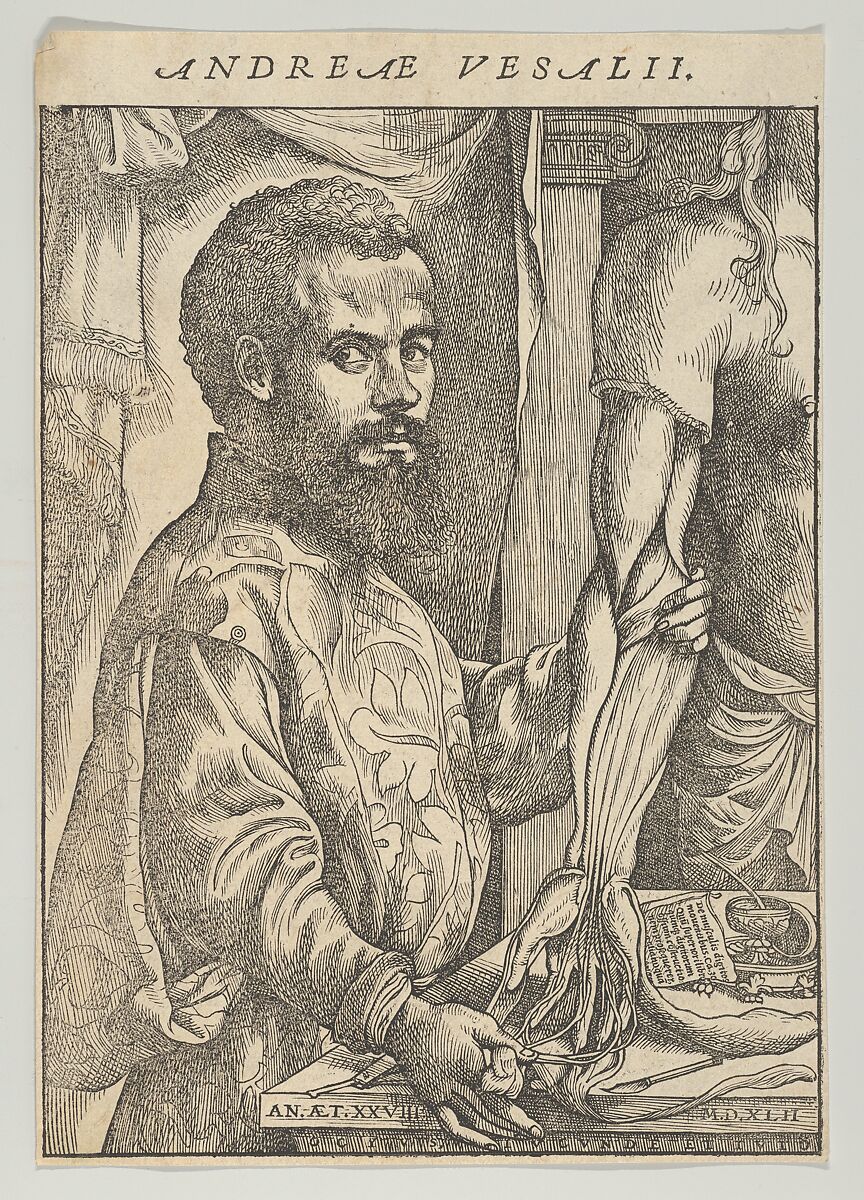 Portrait of Andreas Vesalius, half-length in profile standing in front of a table dissecting the arm of a body; frontispiece to Andreas Vesalius 'De humani corporis fabrica libri septem', Attributed to John of Calcar (John Stephen Calcar) (Netherlandish, Calcar, Cleves 1499–1546/50 Naples (active Italy)), Woodcut 